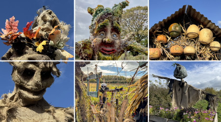 Halloween cube design ltd staff outing pumpkins maze