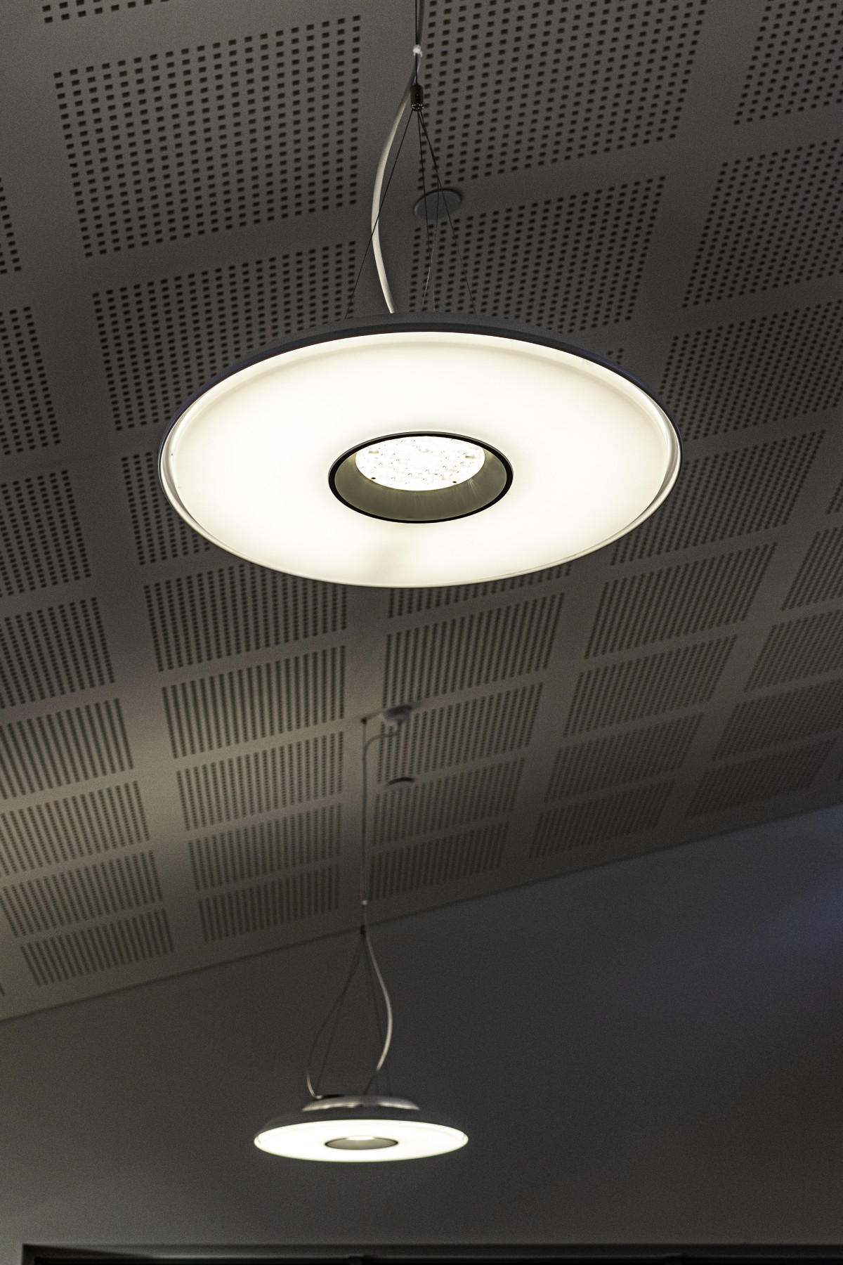 Hillbourne Primary School IMG 2327 Edit cubedesignltd